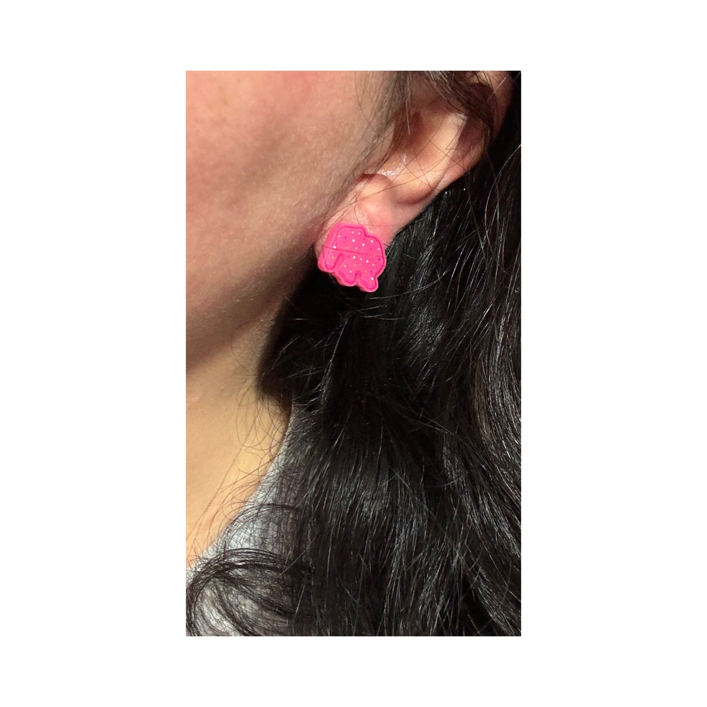 Circus Animal Cookies Post Earrings